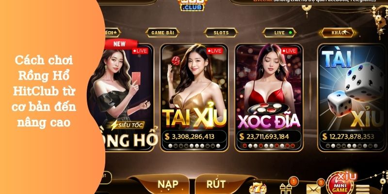 Rồng Hổ HitClub